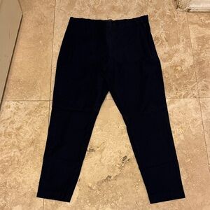 Banana Republic Navy Trousers